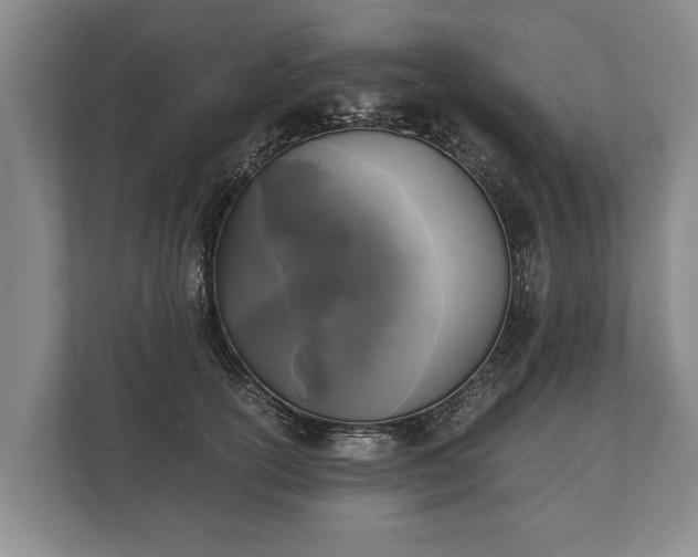 X0000110320754200905281632