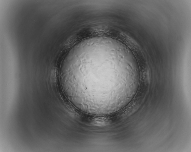 X0000110320757200905281632