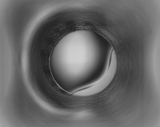 X0000110320764200905281632