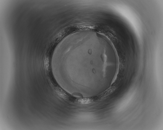 X0000110320767200905281632