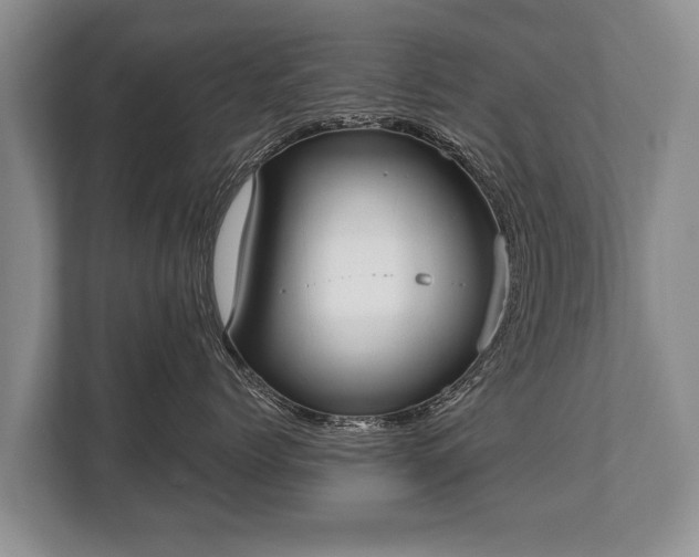 X0000110320768200905281632