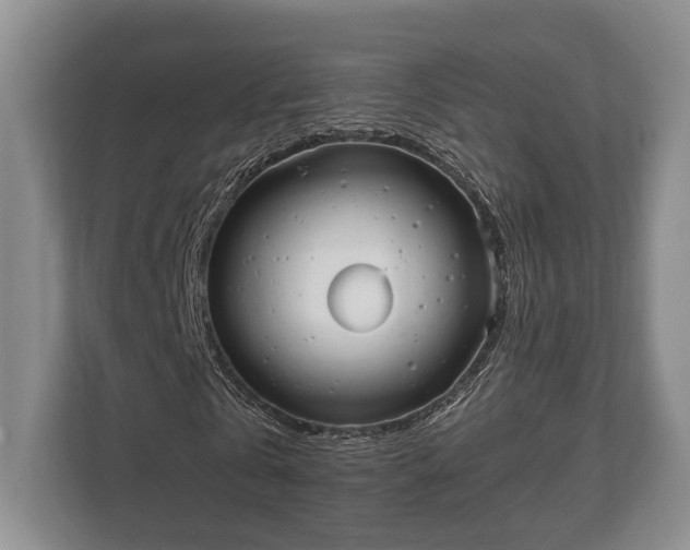 X0000110320769200905281632