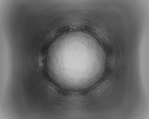 X0000110320770200905281632