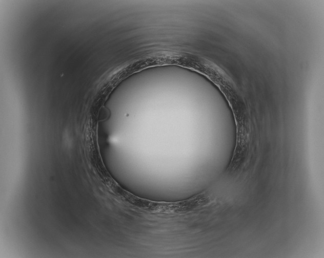 X0000110320773200905281632