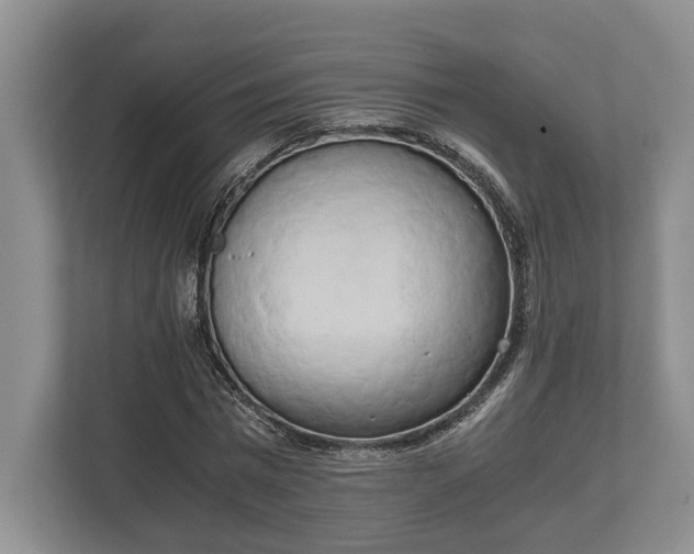 X0000110320777200905281632