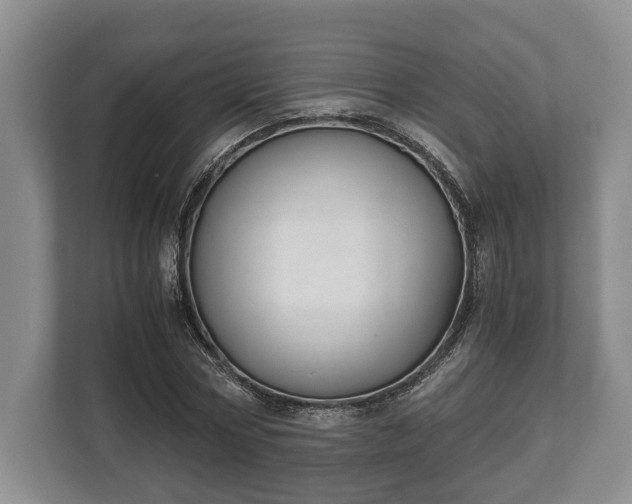 X0000110320778200905281632