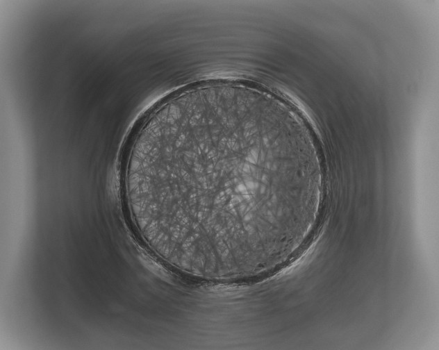 X0000110320779200905281632