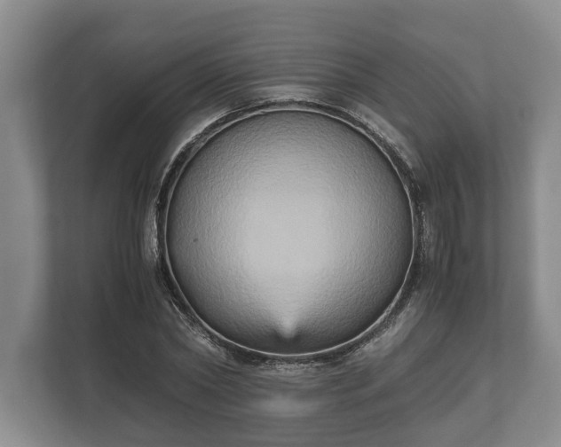 X0000110320782200905281632