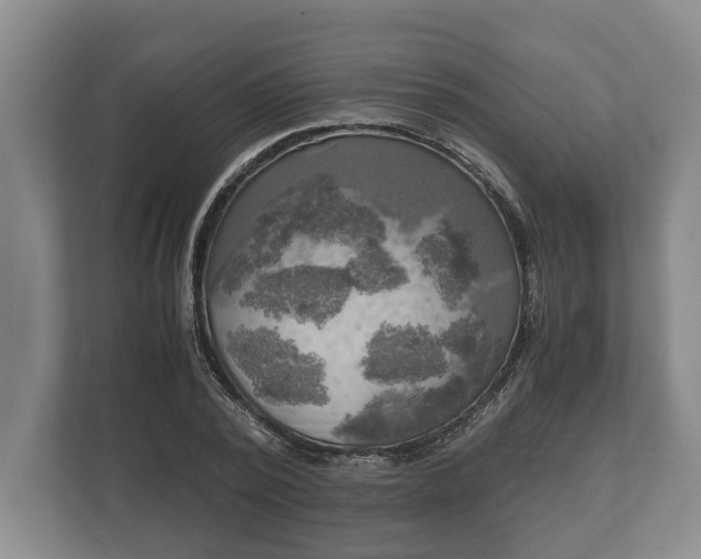 X0000110320784200905281632