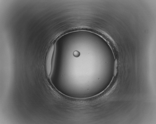 X0000110320785200905281632