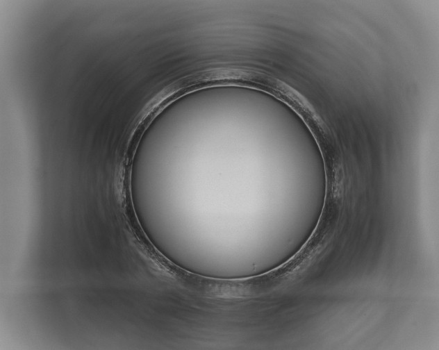 X0000110320786200905281632