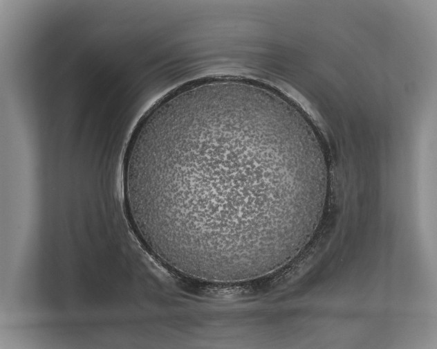 X0000110320791200905281631
