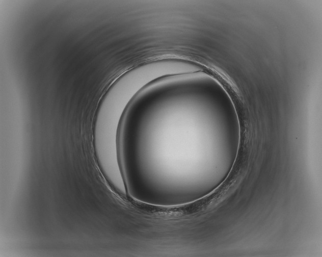 X0000110320793200905281631