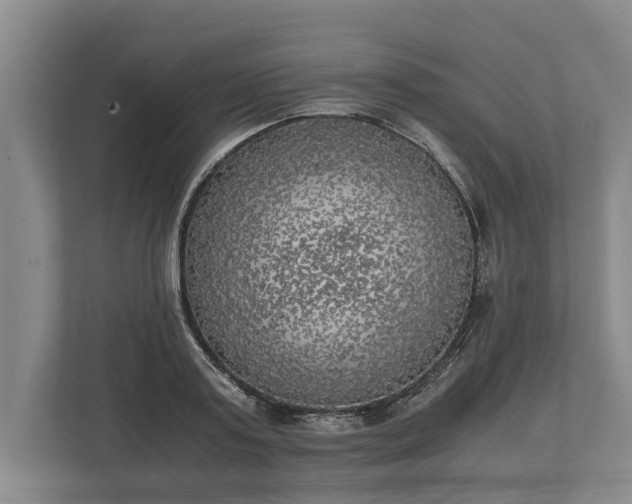 X0000110320795200905281631