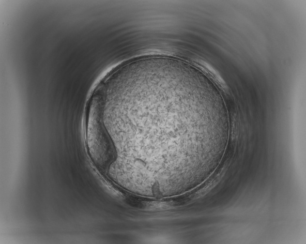 X0000110320796200905281631