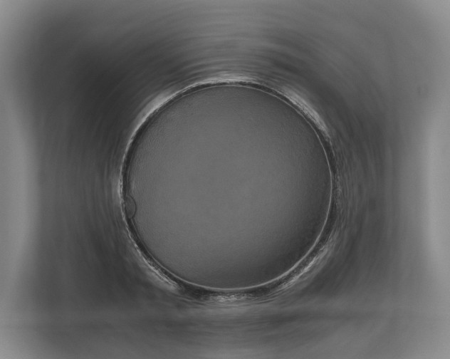 X0000110320797200905281631