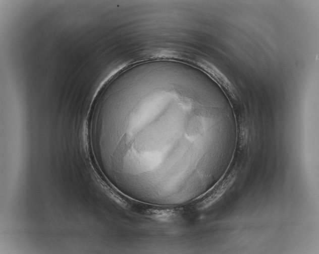 X0000110320798200905281631