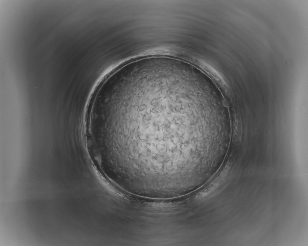 X0000110320800200905281631