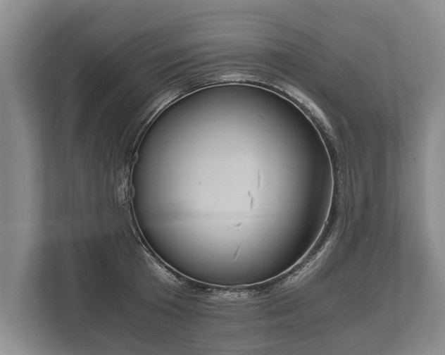 X0000110320801200905281631