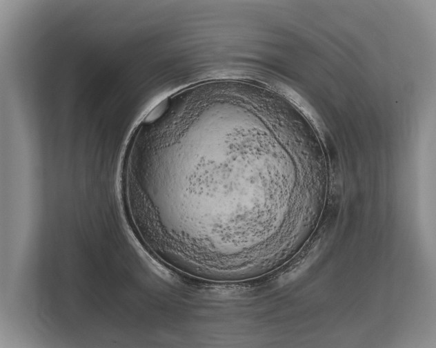 X0000110320803200905281631