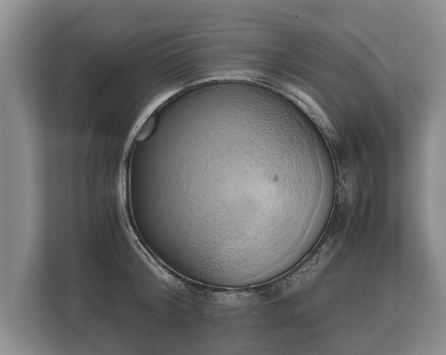 X0000110320804200905281631