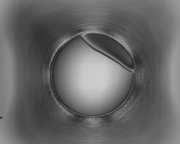 X0000110320805200905281631