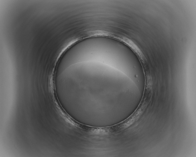 X0000110320806200905281631