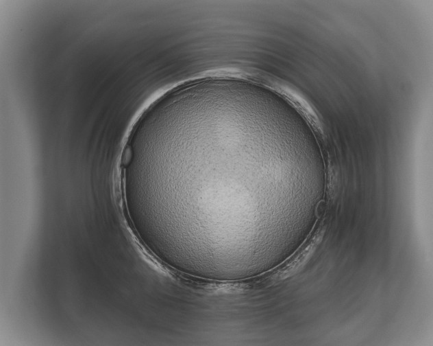 X0000110320808200905281631