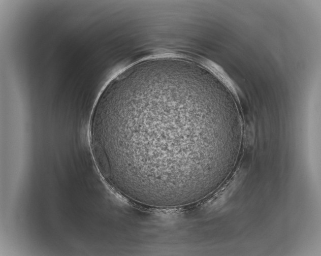 X0000110320813200905281631