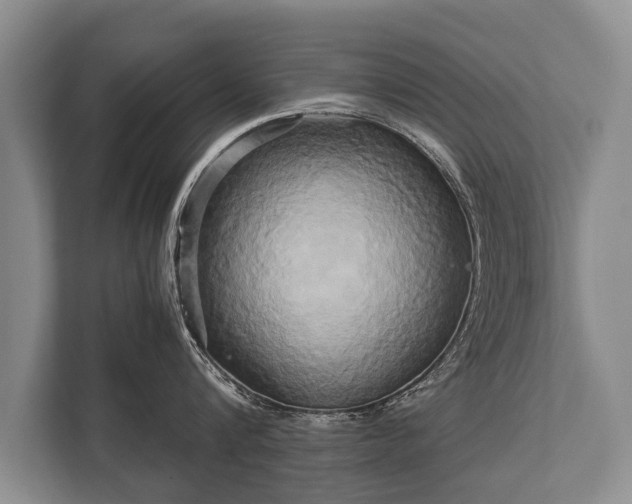 X0000110320816200905281631