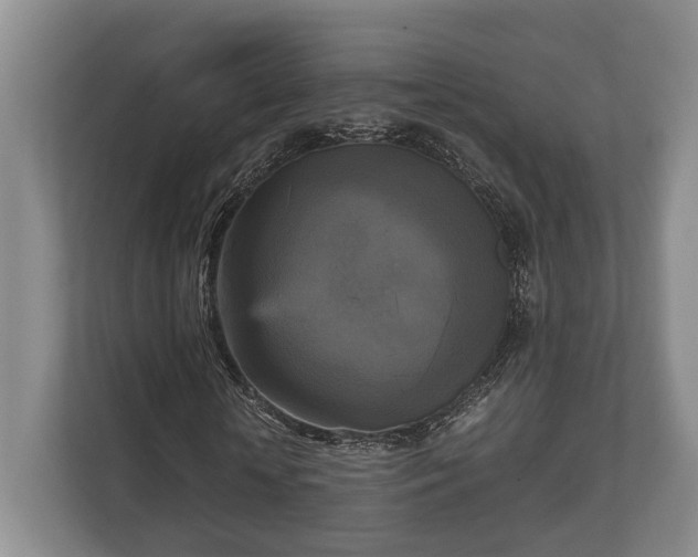 X0000110320818200905281631