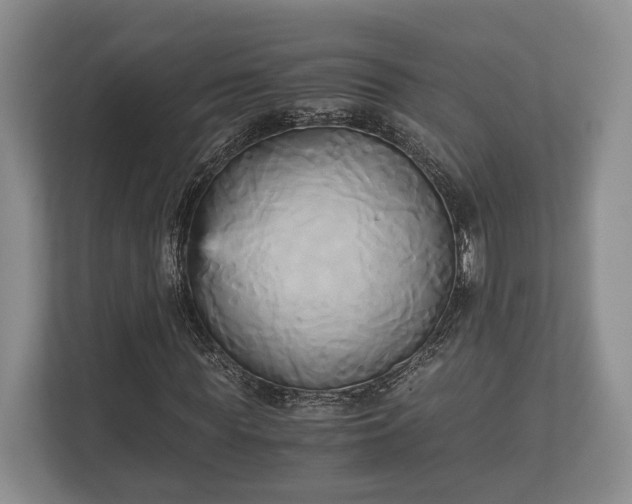 X0000110320819200905281631