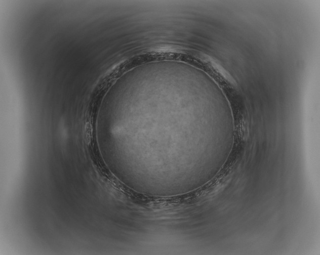 X0000110320821200905281631