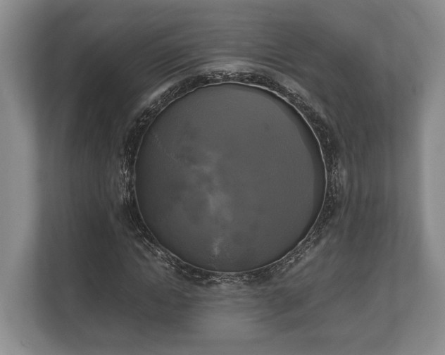 X0000110320822200905281631