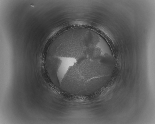 X0000110320823200905281631