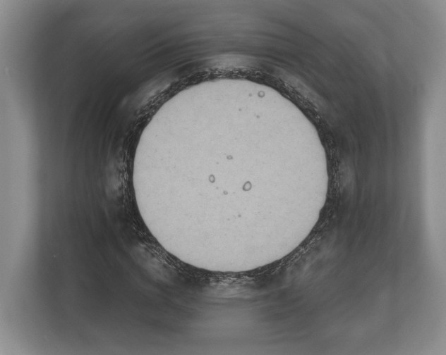 X0000110320824200905281631