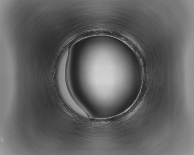 X0000110320826200905281631