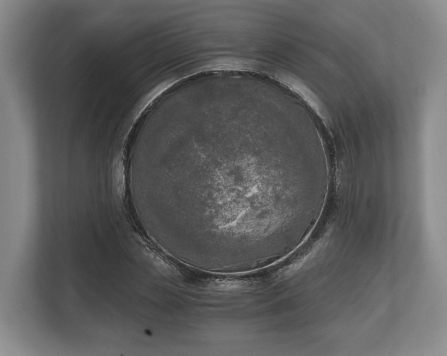 X0000110320829200905281631