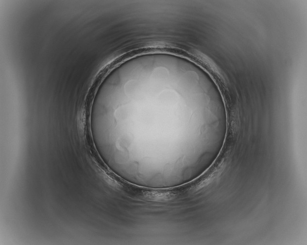 X0000110320831200905281631