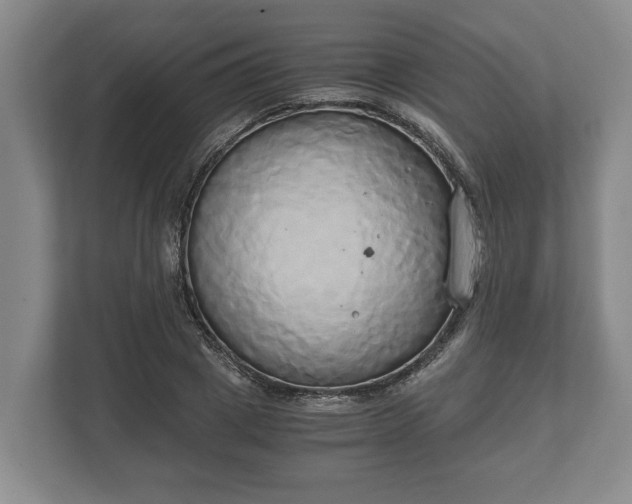 X0000110320833200905281631