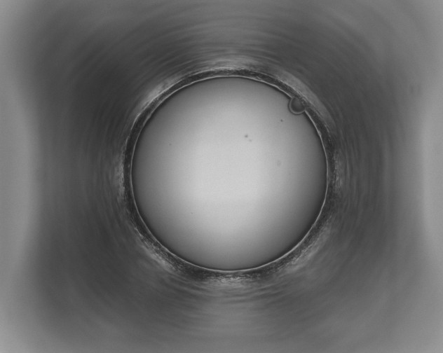 X0000110320834200905281631