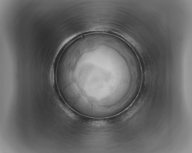 X0000110320838200905281631