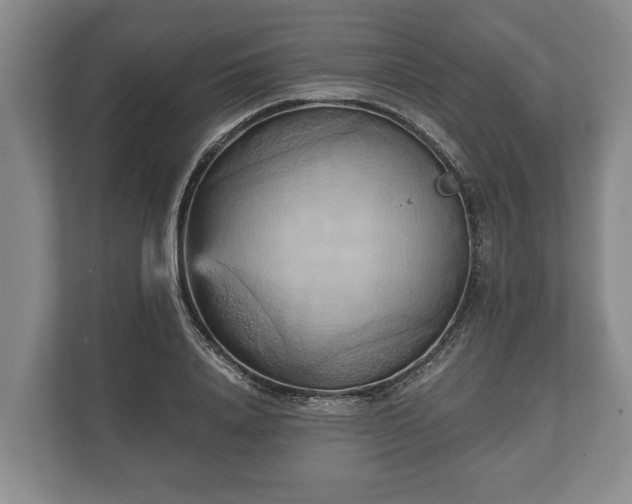 X0000110320840200905281631