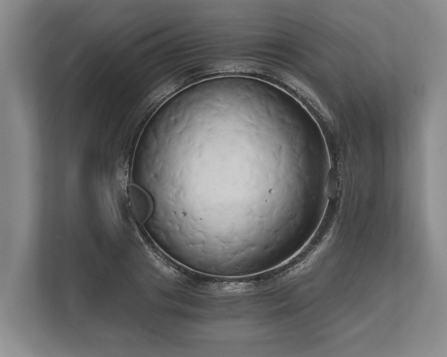 X0000110320841200905281631