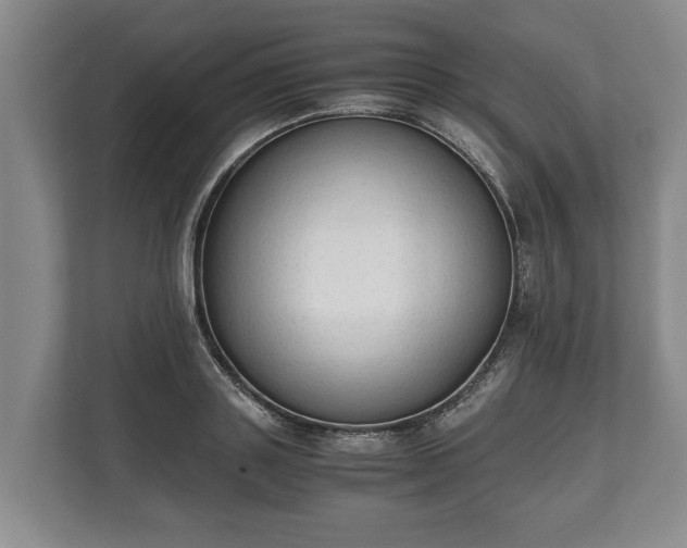 X0000110320843200905281631