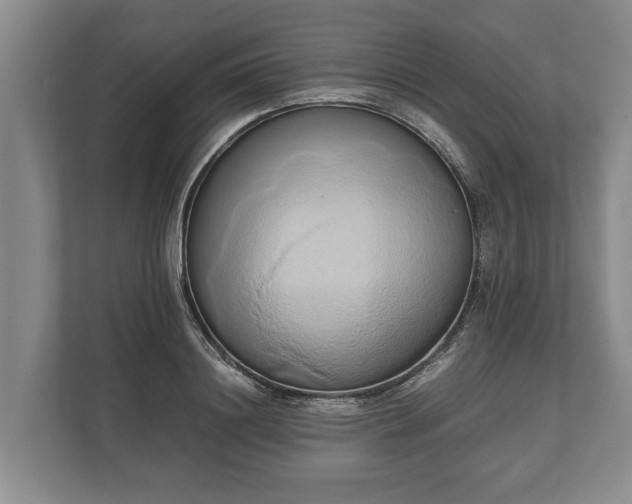 X0000110320844200905281631