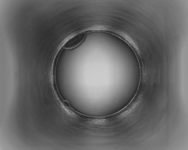 X0000110320845200905281631