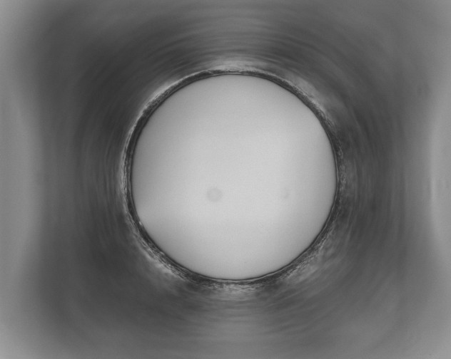 X0000110320848200905281631