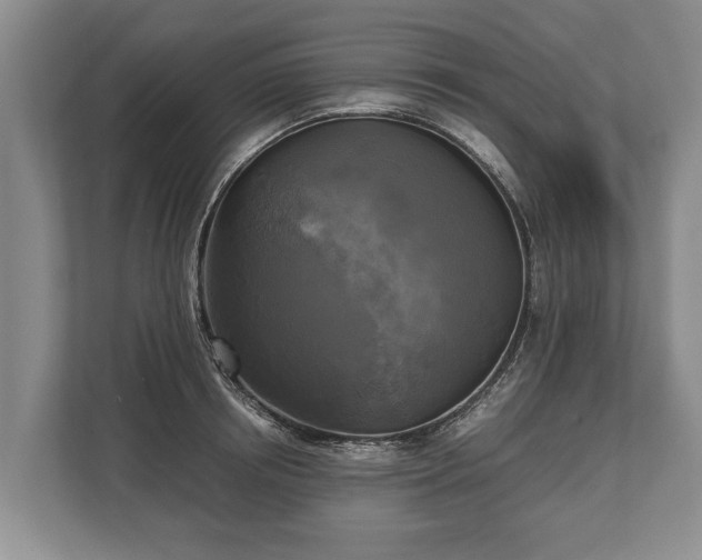 X0000110320850200905281631