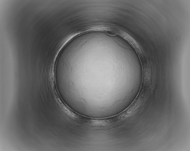 X0000110320852200905281631